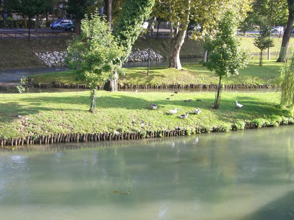 Treviso-お濠と水鳥